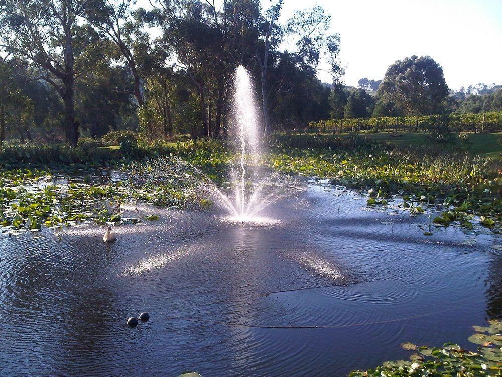 Wandin Yallock ワイルド キャトル クリーク エステート Bed & Breakfast エクステリア 写真