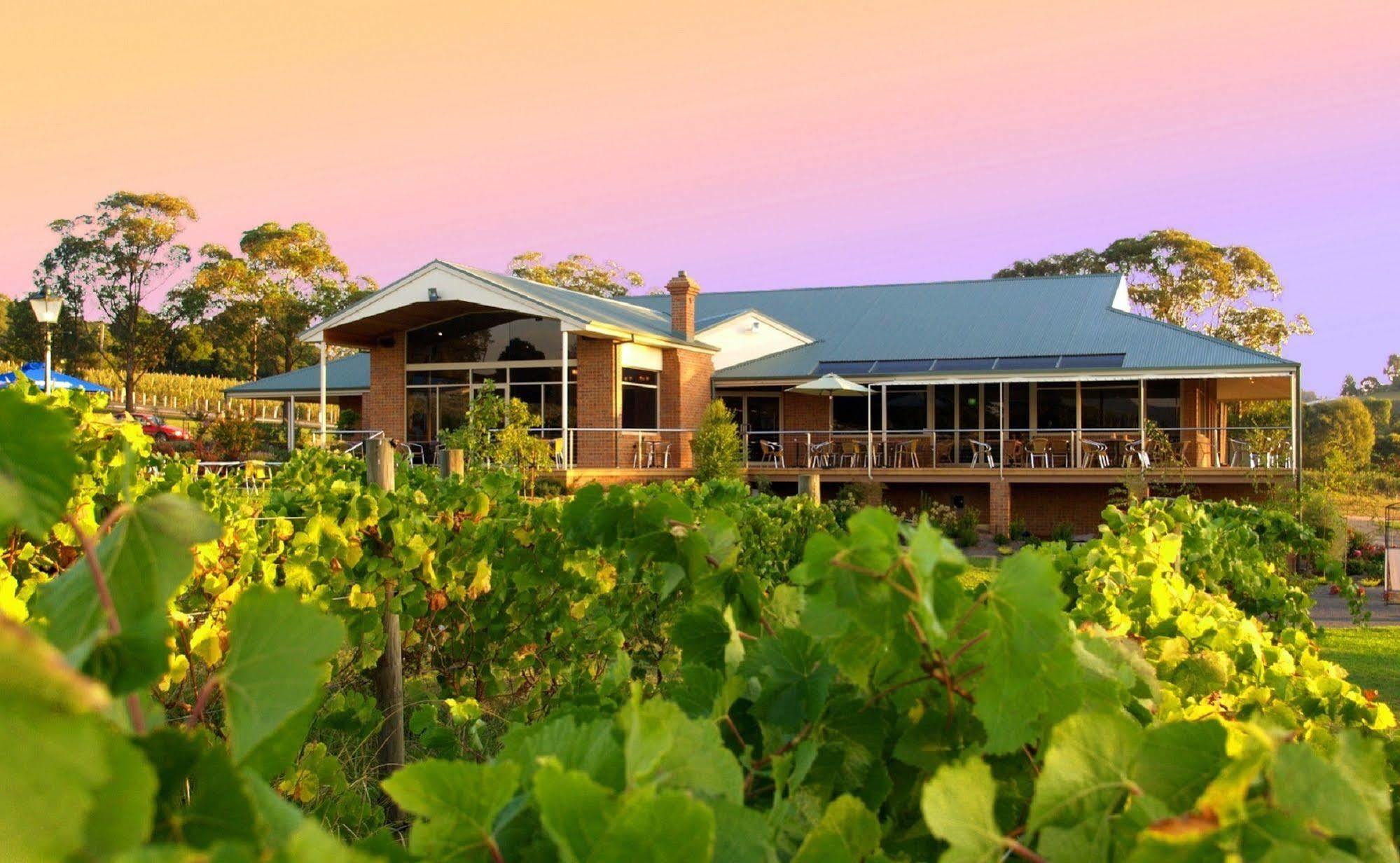 Wandin Yallock ワイルド キャトル クリーク エステート Bed & Breakfast エクステリア 写真