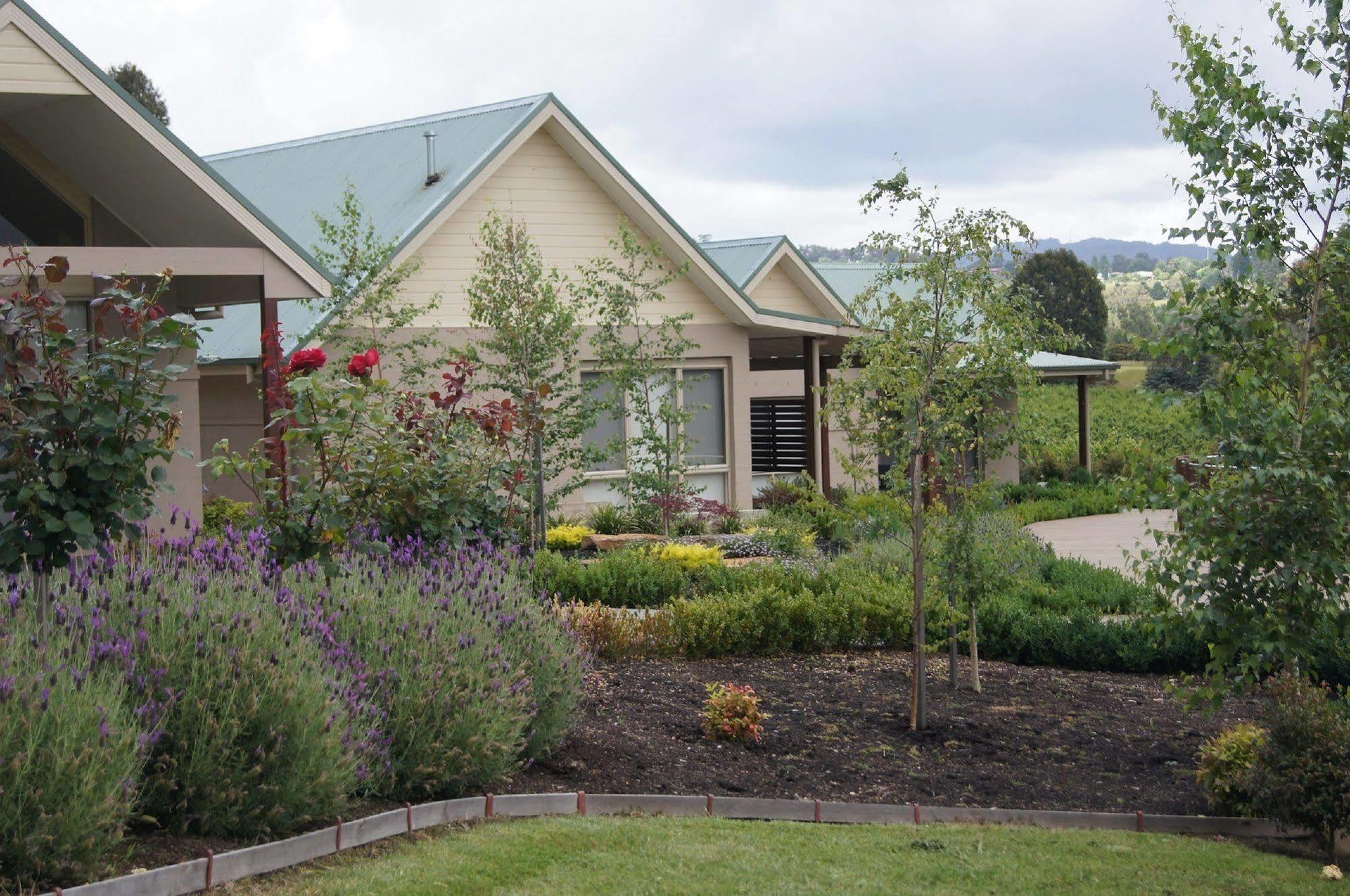 Wandin Yallock ワイルド キャトル クリーク エステート Bed & Breakfast エクステリア 写真